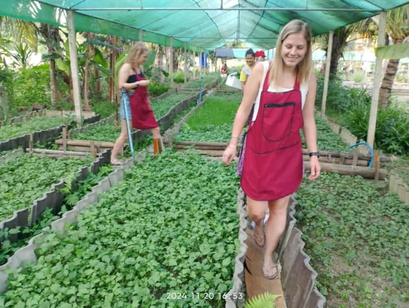 Chiang Rai:Lanna Home Cooking Class at Give Green Farm House - Who will enjoy this class most