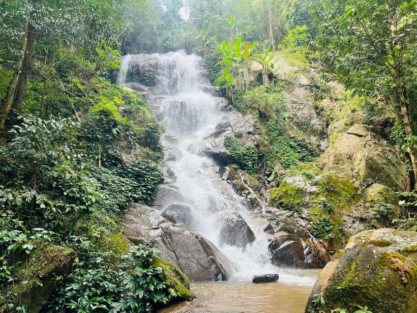 Chiang Rai: The Adventure of Trekking & Bamboo Cooking - Meeting Lisu and Chinese village communities