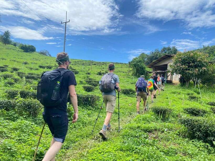Chiangrai: Group Trekking with Bamboo Cooking - The Chinese village and tea plantations
