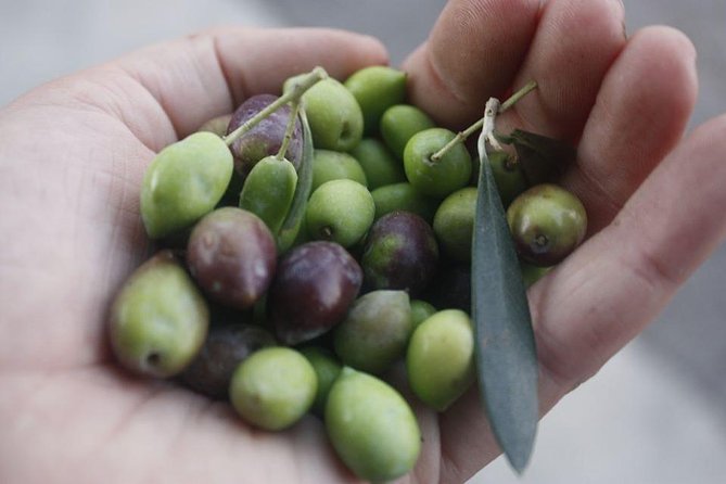 Cook with Locals | Cretan cooking Class at Archanes Village - The village walk and grocery stop