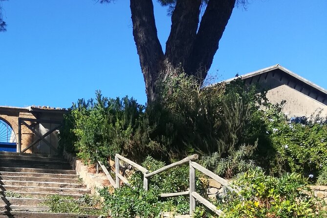 Cooking Class in a Sicilian countryhouse - What the listed itinerary really adds