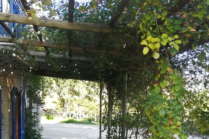 Cooking Class in a Sicilian countryhouse - Eating under the olive trees