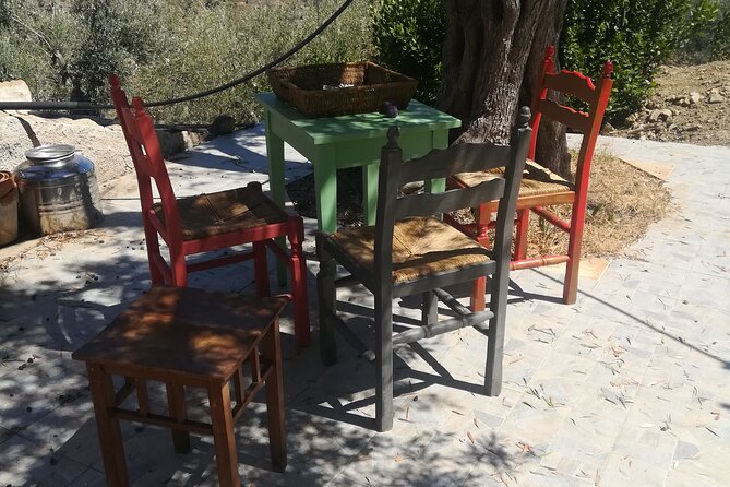 Cooking Class in a Sicilian countryhouse - Is $224.76 a fair price?