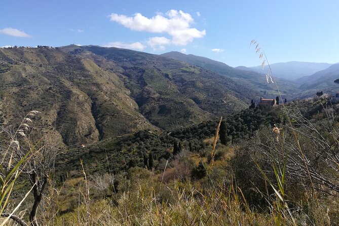 Cooking Class in a Sicilian countryhouse - Who will enjoy this class most?