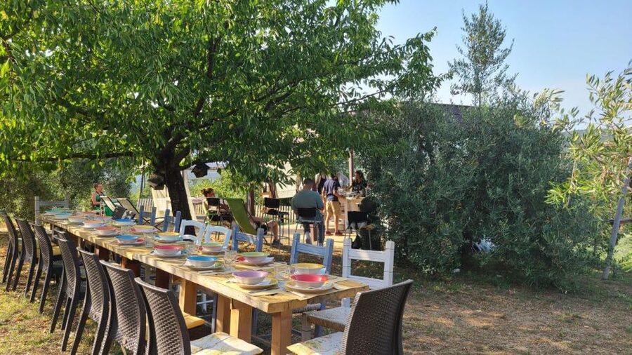 Cooking class in our family farm in Chianti with lunch - Who will enjoy this Chianti cooking class?