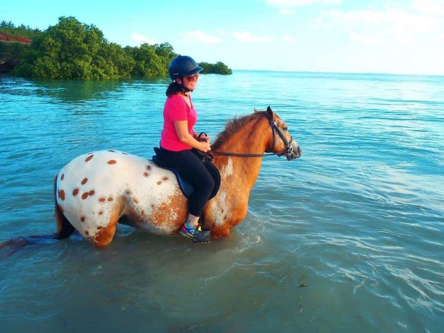 Cooking Class Tour, Stone Town Tour, Horseback Riding - One hour on horseback around Zanzibar