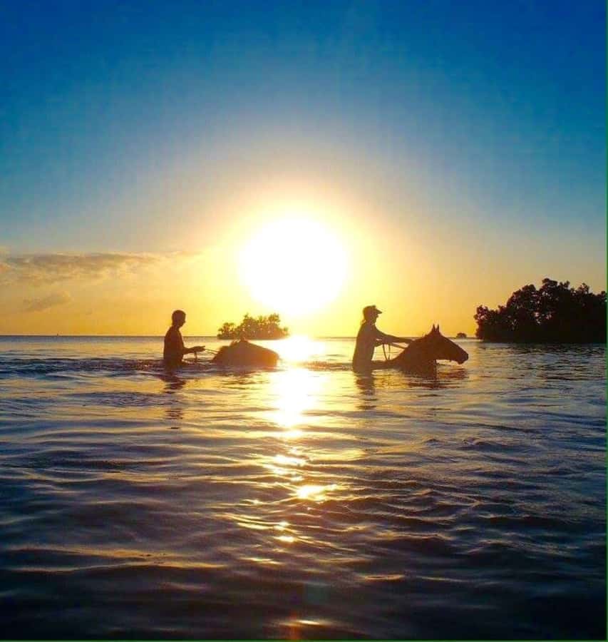 Cooking Class Tour, Stone Town Tour, Horseback Riding - Should you book this Zanzibar experience?