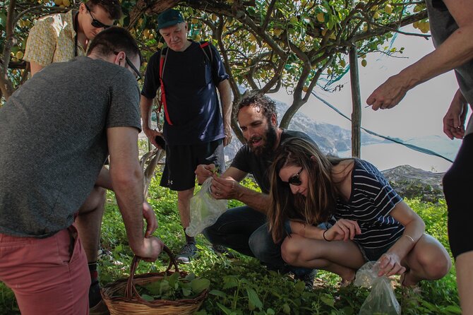 Cooking Class with garden visit - What you actually make and eat