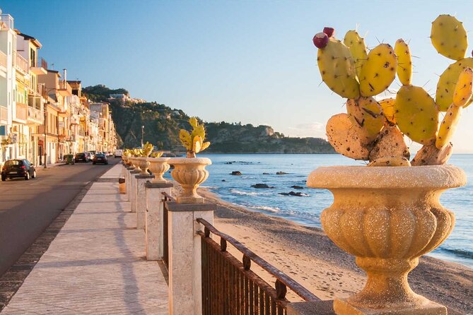 Cooking Class with Seaview with Chef Mimmo - Cannoli and limoncello finish the meal