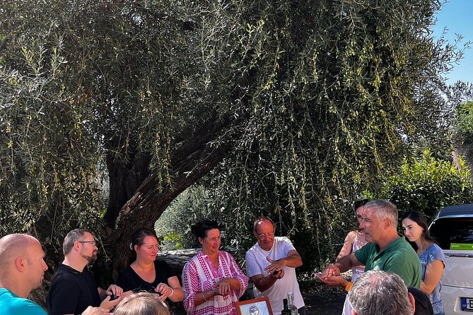 Cooking Classes and olive oil tasting.The real taste of Greece! - Cooking the Corfiot Way