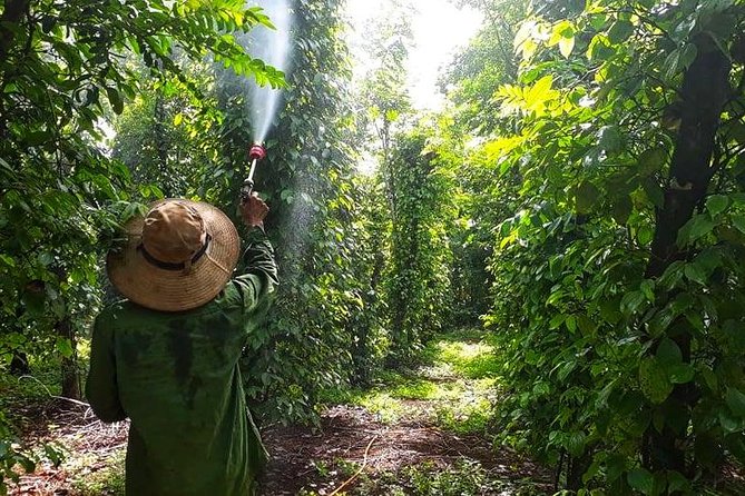 Cooking, Farming and Waterfall In Vietnam Countryside - Key points to know before booking