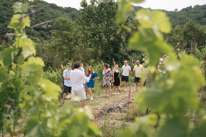 Cortecorbo winery: Pizza Cooking class, lunch & wine tasting - Who will get the most from this experience