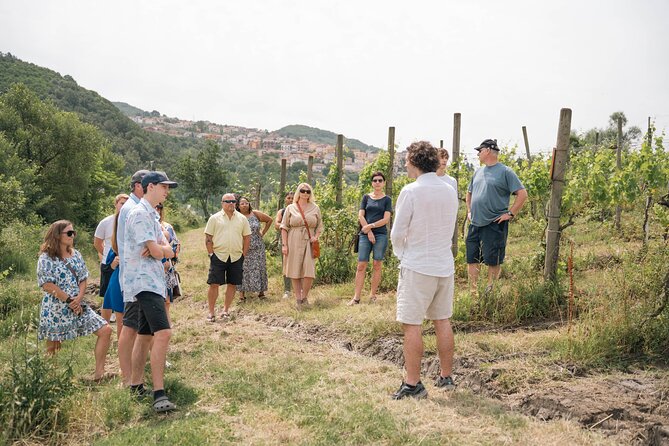 Cortecorbo winery: Pizza Cooking class, lunch & wine tasting - Practical details that affect your decision