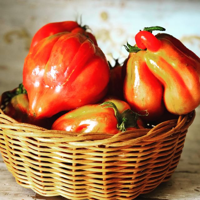 Cortona: Pasta and Pizza Cooking Class - Key points to know before you book