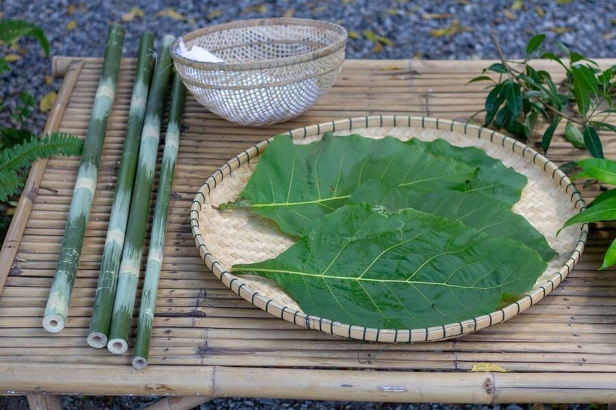 Cultural immersion: Thai cooking, rice farming, eco printing - Who should book this experience