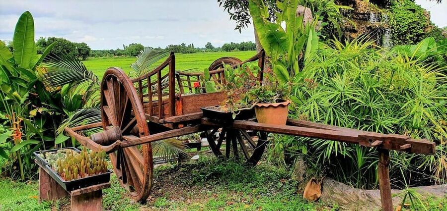 Cultural immersion: Thai cooking, rice farming, eco printing - The orchard, Miang Kham, and a leaf-printed keepsake