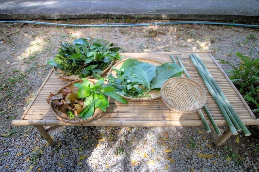 Cultural immersion: Thai cooking, rice farming, eco printing - Cooking five Thai classics at Baan Tung Tiam Kawieng