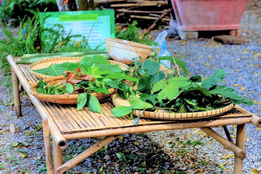 Cultural immersion: Thai cooking, rice farming, eco printing - Nakhon Nayok market: start with the ingredients