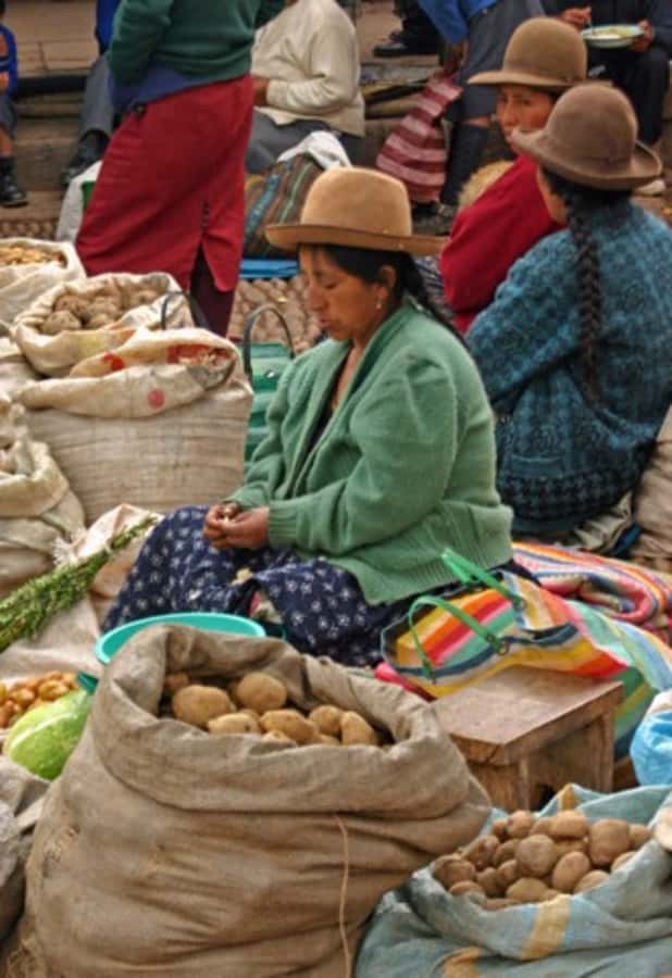 Cusco: 3-Hour Peruvian Cooking Class - Preparing ceviche as the opening course