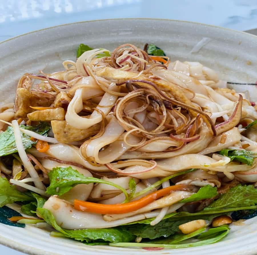 Da Nang: Vegetarian Cooking Class with Janny - Making vegetarian Vietnamese noodles