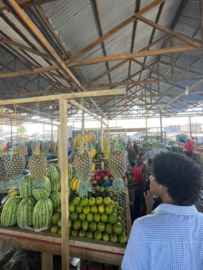 Dar es Salaam: Taste of Tanzania Cooking Class and Food Tour - Optional swimming, fruit, coconut, and handmade goods