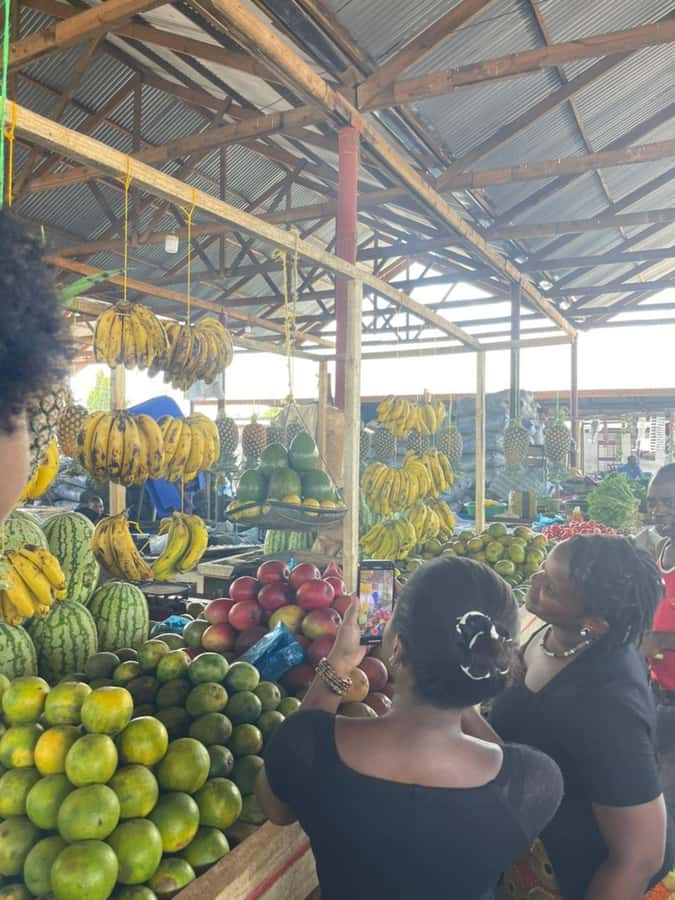 Dar es Salaam: Taste of Tanzania Cooking Class and Food Tour - Guides, hosting, and the human side