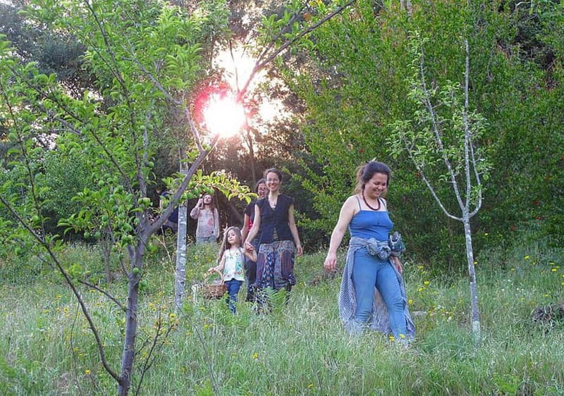 Douro Valley: Traditional Cooking Class, Farm Tour and Lunch - Price and Value at $175 Per Person