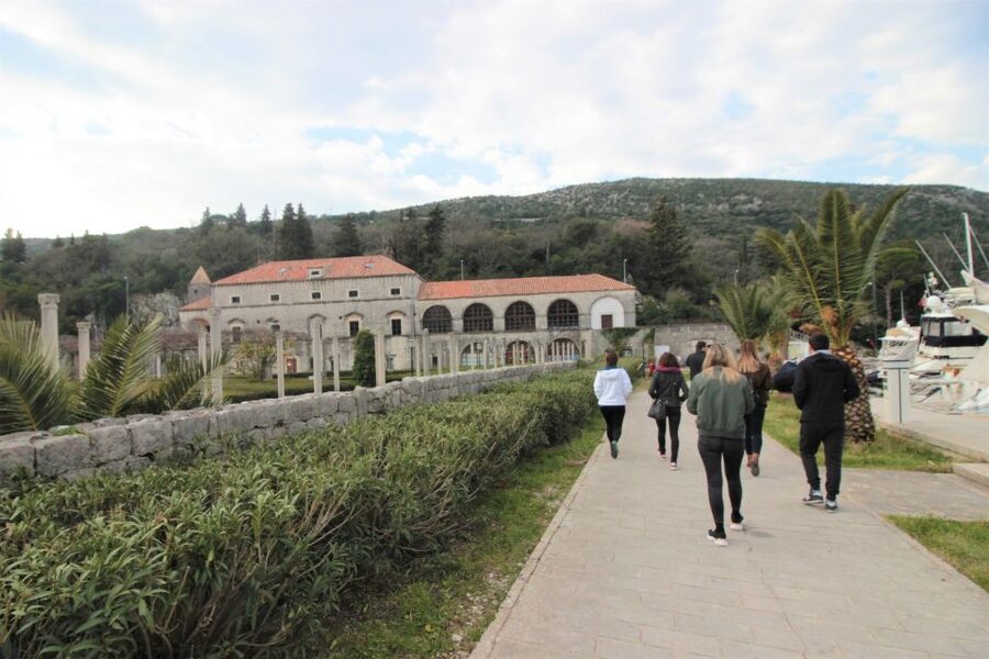 Dubrovnik: Private Cooking Experience with Wine Tasting - Majkovi village and a real Dalmatian kitchen