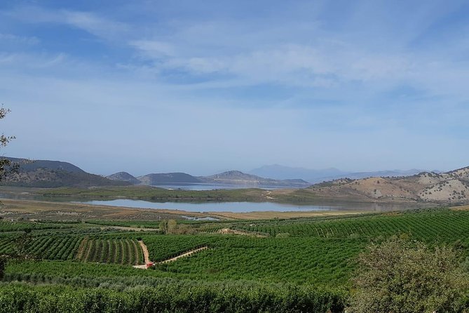 Family Mandarin Farming Tour with Traditional Cooking Lunch - A small farm experience near Butrint
