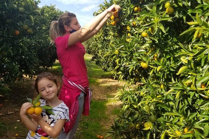 Family Mandarin Farming Tour with Traditional Cooking Lunch - What the private format changes