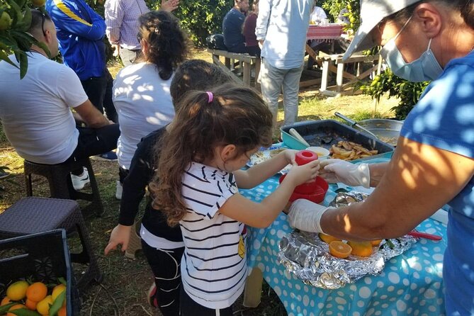 Family Mandarin Farming Tour with Traditional Cooking Lunch - Who should book this experience?