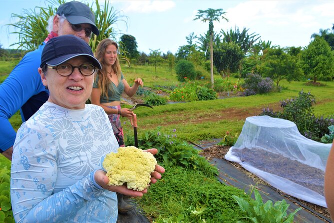 Farm to Table Cooking Class at Kulaniapia Falls - Key points at a glance