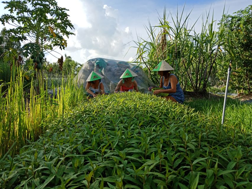 Farm-To-Table Healthy Cooking Class: Half-Day Tour - Getting to the farm from Ho Chi Minh City