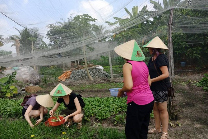 Farm-To-Table Healthy Cooking Class in Ho Chi Minh City - Four dishes with a master chef