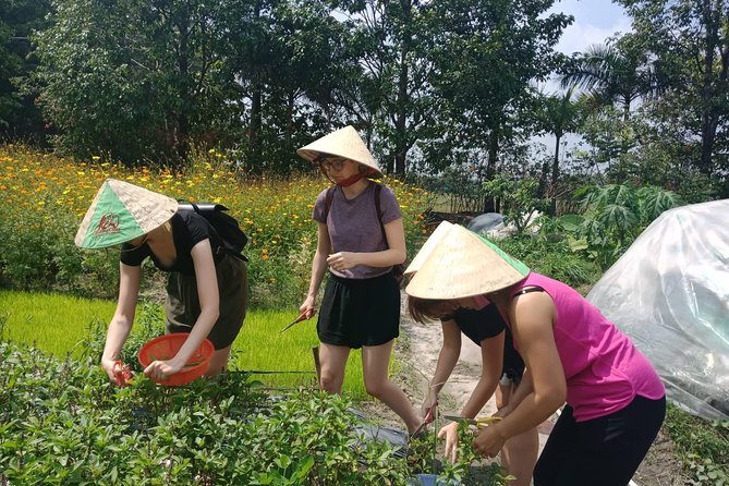 Farm-To-Table Healthy Cooking Class in Ho Chi Minh City - Tasting as you go
