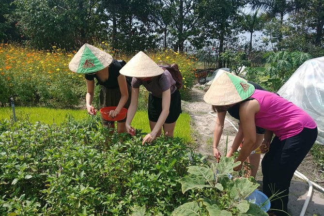 Farm-To-Table Healthy Cooking Class in Ho Chi Minh City - Meeting the animals and plants
