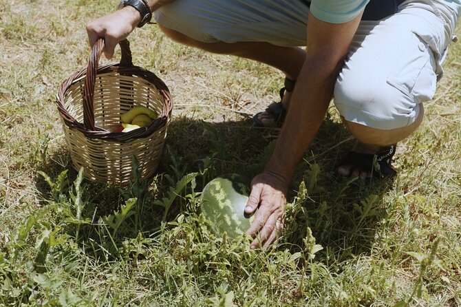 Farm to Table - Local Cooking Experience - Practical points that can affect your day
