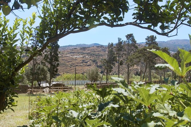 Farm to Table - Local Cooking Experience - Gathering food in a private garden