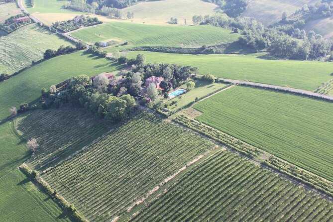 Felsina Culinaria - Personalised Private Cooking Course - A private cooking class outside Bologna