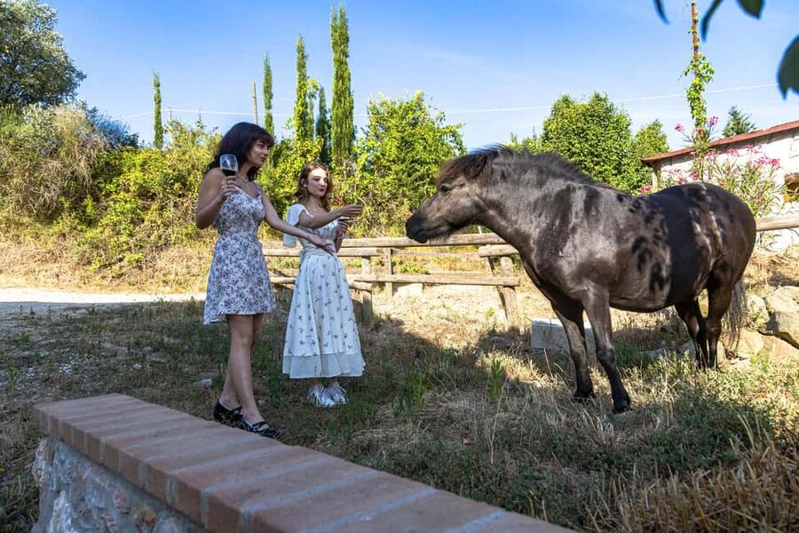 Florence: Cooking Class on a Traditional Tuscan Farm - Making fresh egg pasta and ravioli