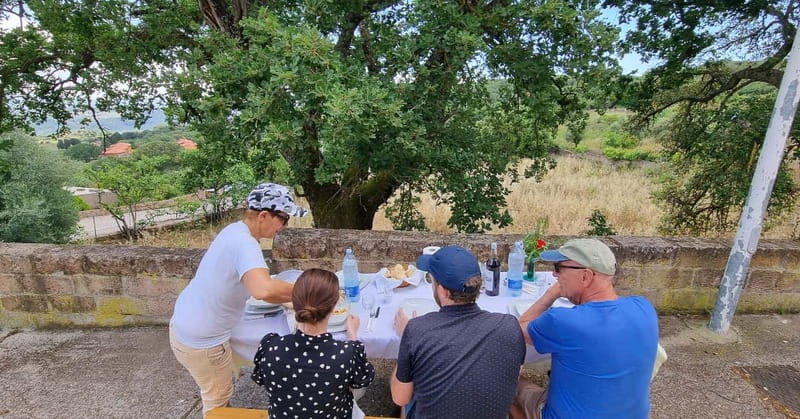 From Alghero: Farm to Table cooking experience in Montresta - Who should book this Montresta experience?