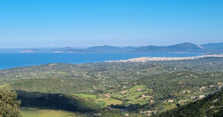 From Alghero: Farm to Table cooking experience in Montresta - What makes the family lunch worthwhile