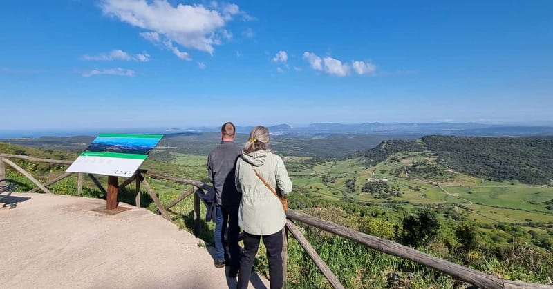 From Alghero: Farm to Table cooking experience in Montresta - Is the experience good value?