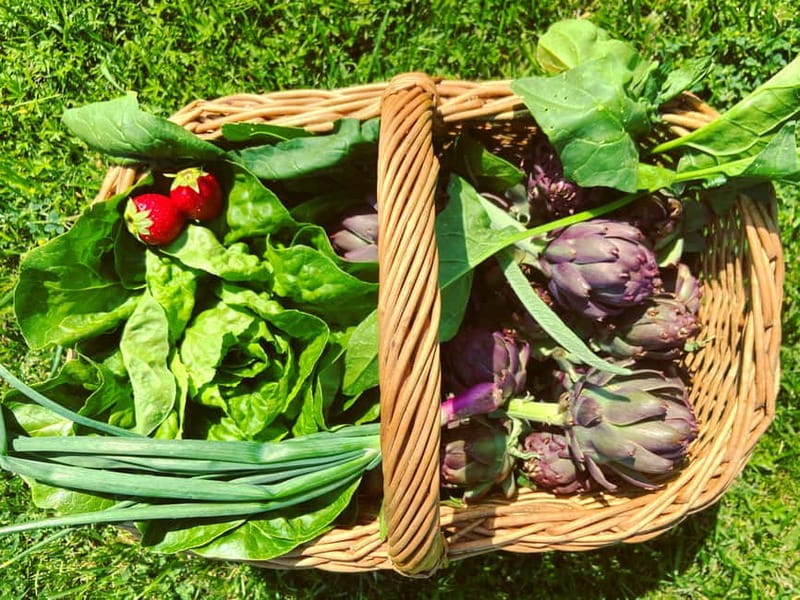 From Florence: Cooking Experience at hilltop farm in Tuscany - Cooking a traditional Tuscan lunch