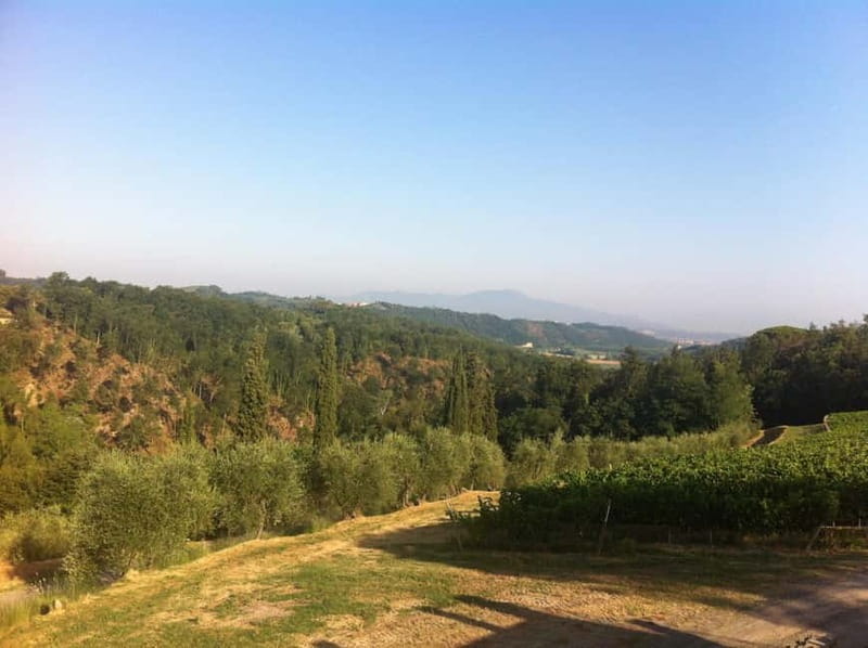 From Florence: Cooking Experience at hilltop farm in Tuscany - Choosing between a walk and the infinity pool