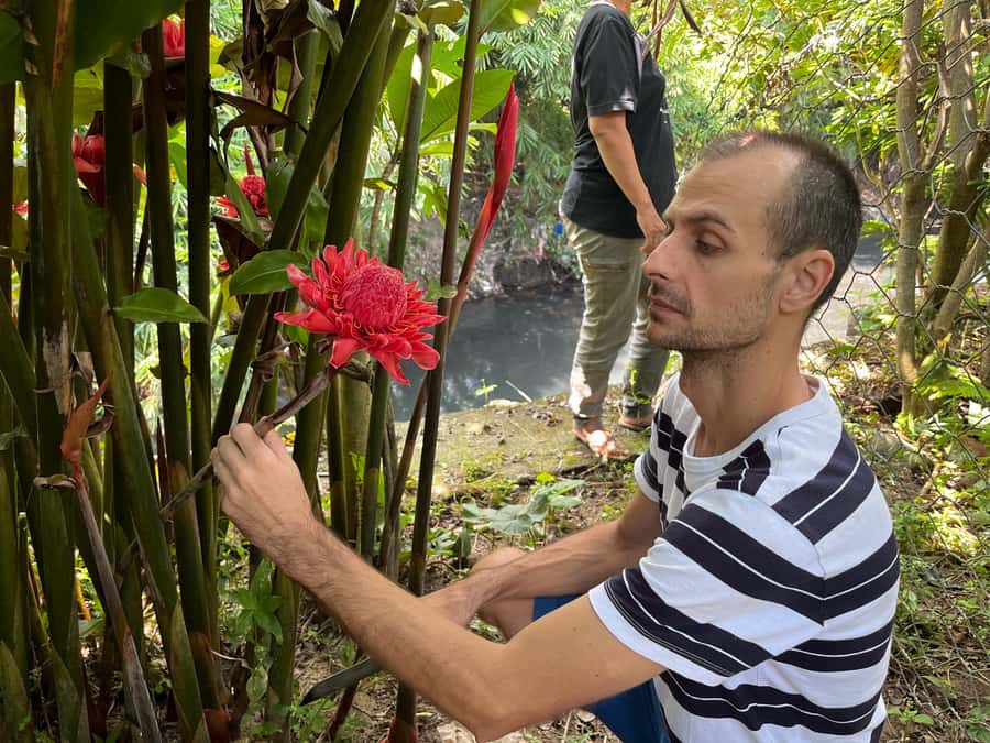 From Garden to Table: Indonesian Cooking Class in Yogyakarta - A Five-Hour Start in Endah’s Garden