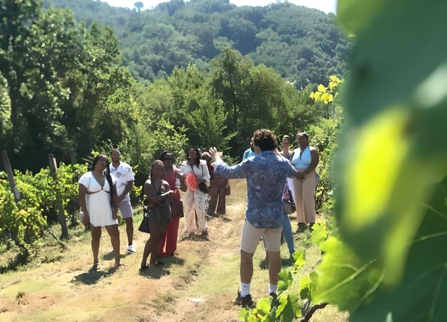 From Sorrento & Naples: Cortecorbo Wine & Cooking Experience - The long countryside lunch