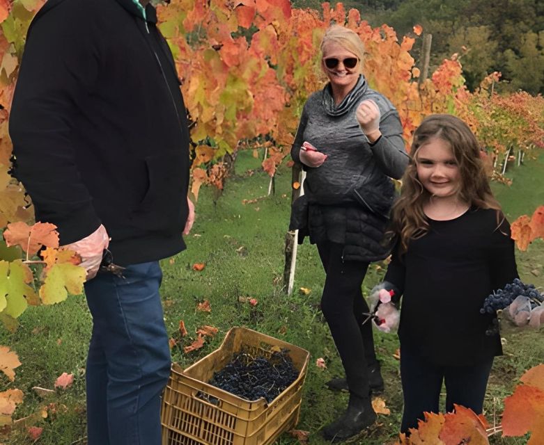 From Sorrento & Naples: Cortecorbo Wine & Cooking Experience - The family welcome and the human side