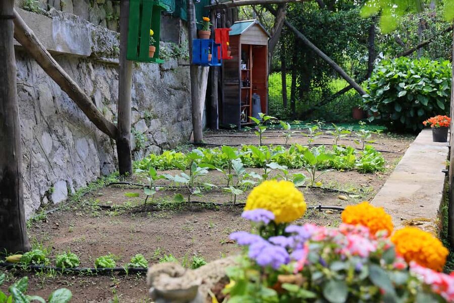 From Sorrento to Meta: cook with a local family and enjoy the garden!! - Why this Meta cooking class feels different