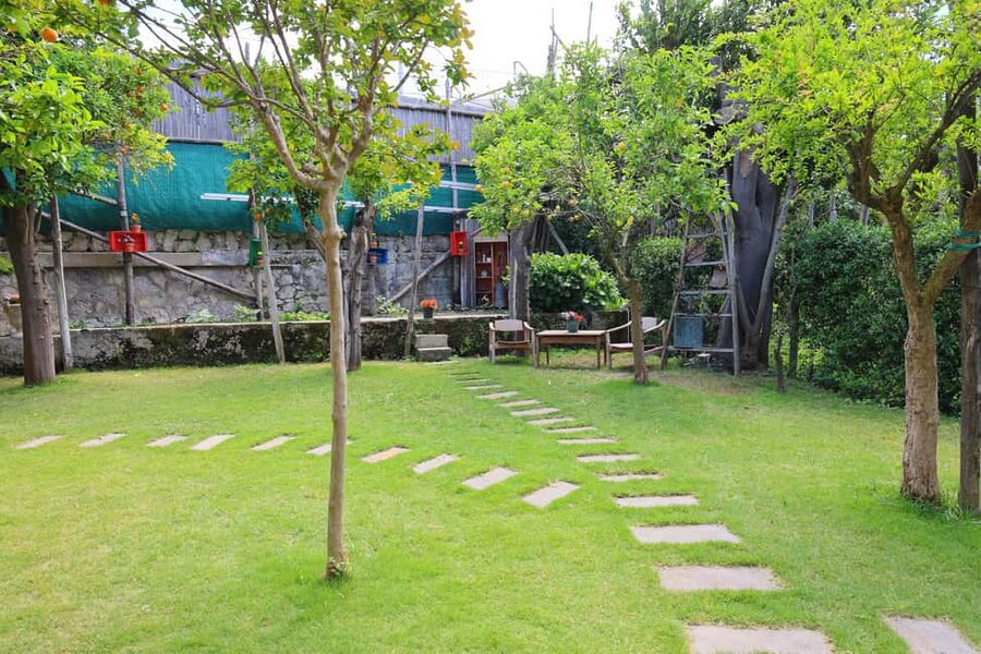 From Sorrento to Meta: cook with a local family and enjoy the garden!! - A welcome prosecco and a garden walk